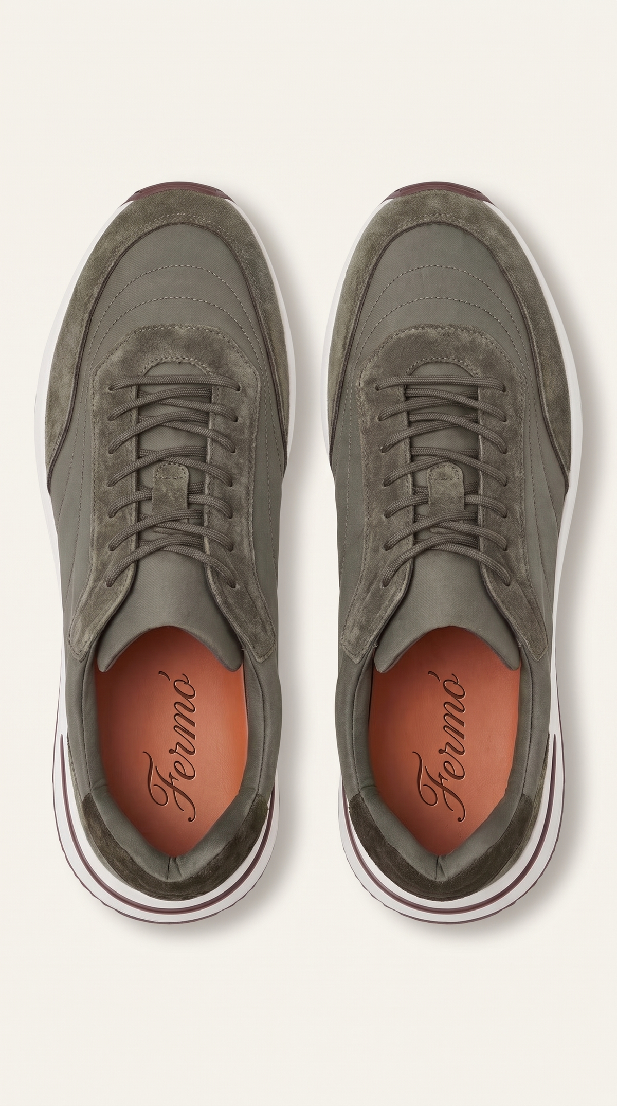 Olive Sorrento Trainer